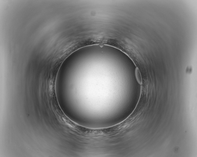X0000094201154200711021045