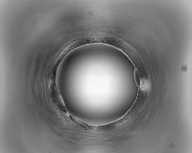 X0000094201155200711021045