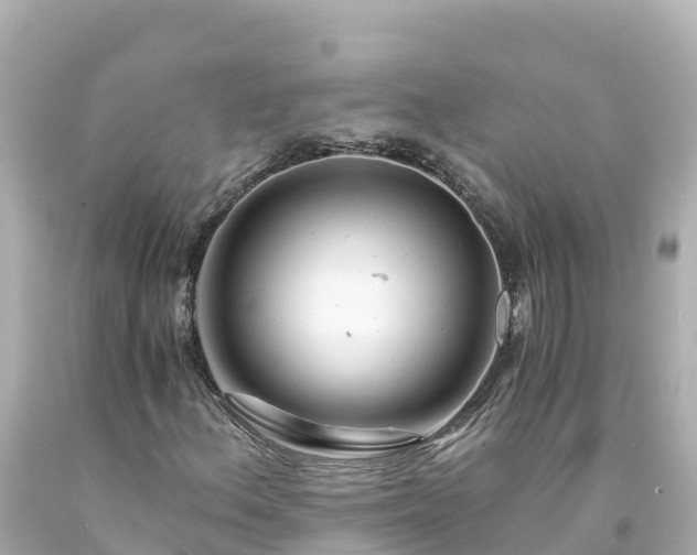 X0000094201156200711021045