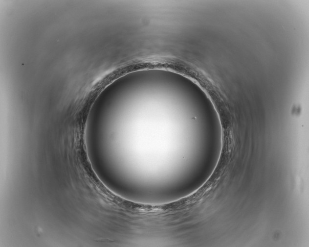 X0000094201158200711021045
