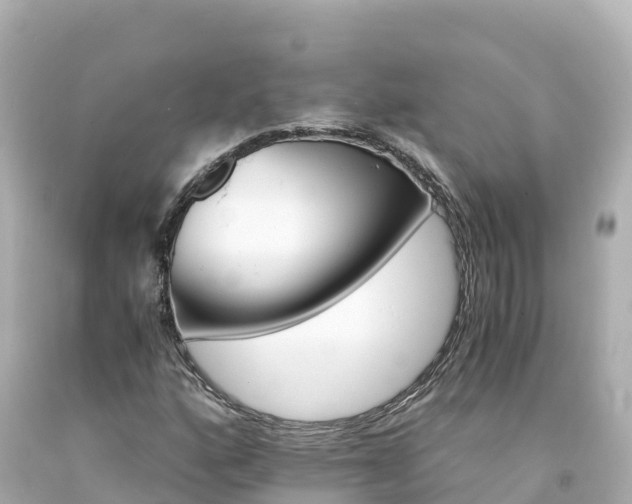 X0000094201160200711021045