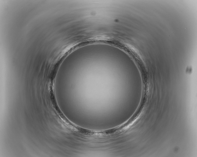 X0000094201161200711021045