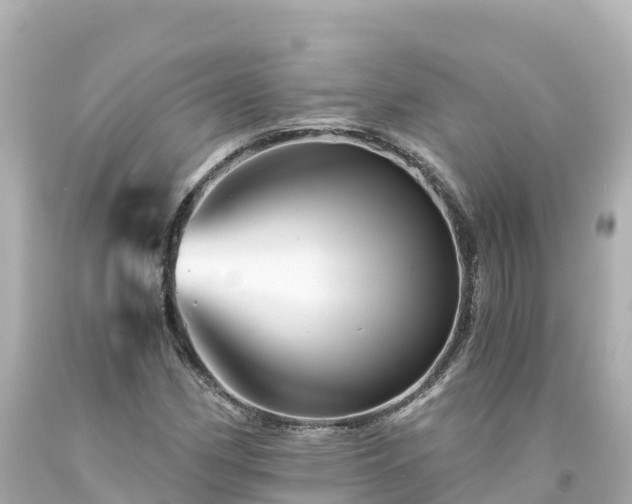 X0000094201162200711021045
