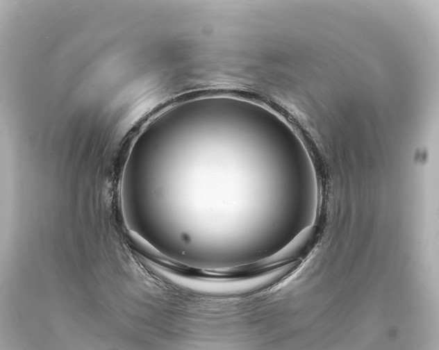 X0000094201163200711021045