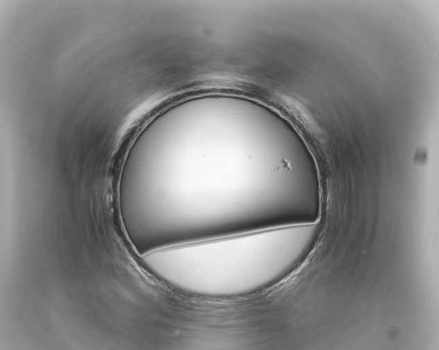 X0000094201164200711021045