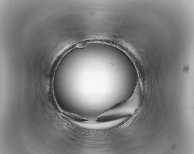 X0000094201165200711021045