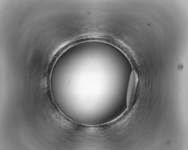 X0000094201166200711021045