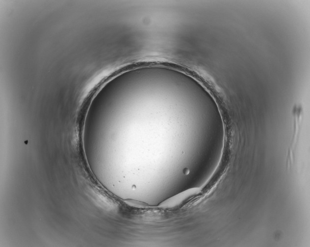 X0000094201167200711021045