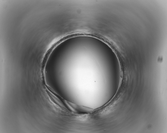 X0000094201168200711021045