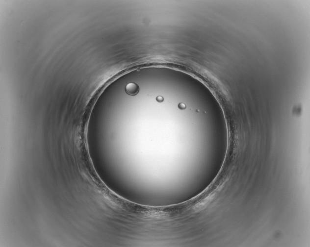 X0000094201170200711021045
