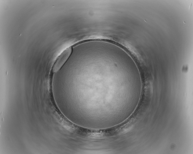 X0000094201173200711021044