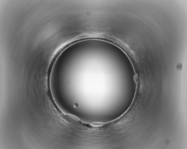 X0000094201174200711021044