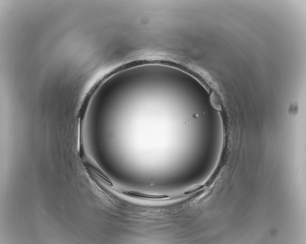 X0000094201175200711021044