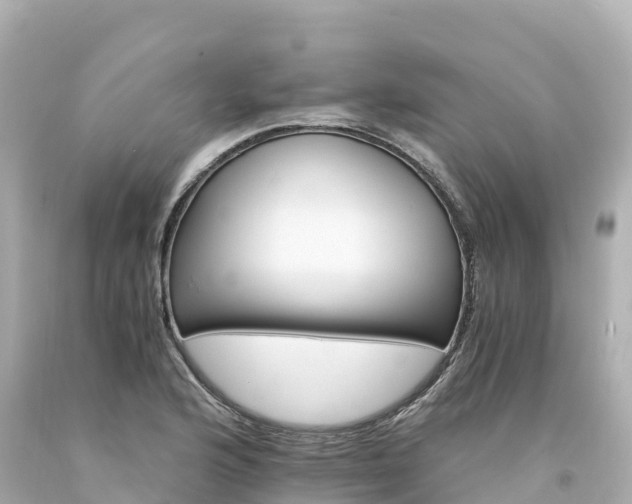 X0000094201176200711021044