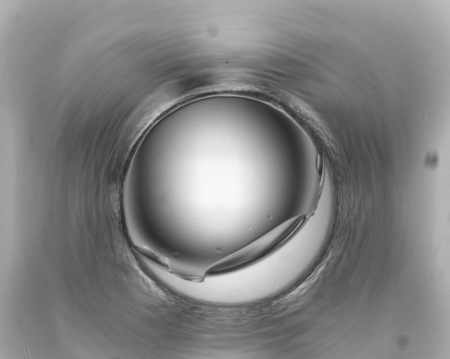 X0000094201177200711021044