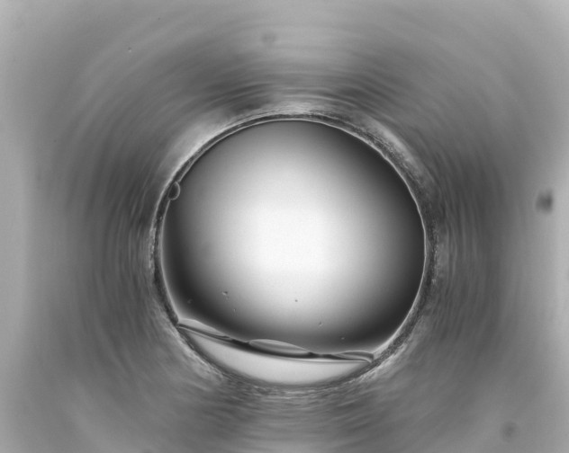X0000094201178200711021044