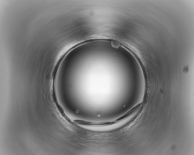 X0000094201179200711021044