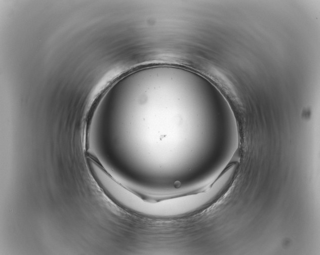 X0000094201180200711021044