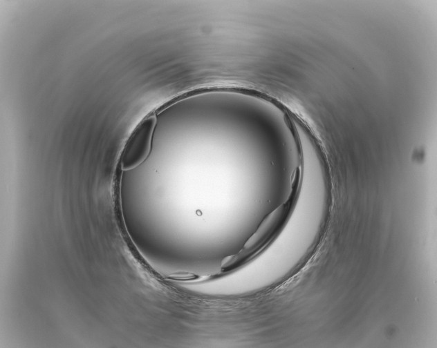 X0000094201181200711021044