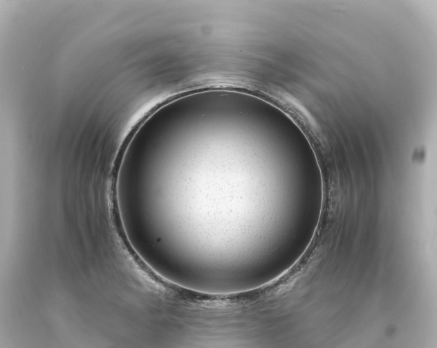 X0000094201182200711021044