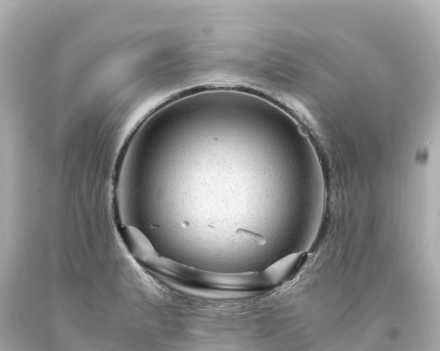 X0000094201183200711021044