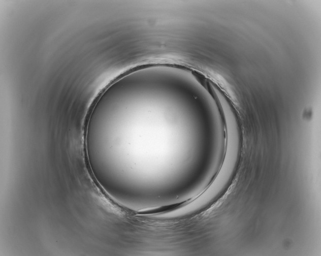 X0000094201184200711021044