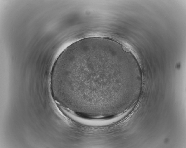 X0000094201187200711021044