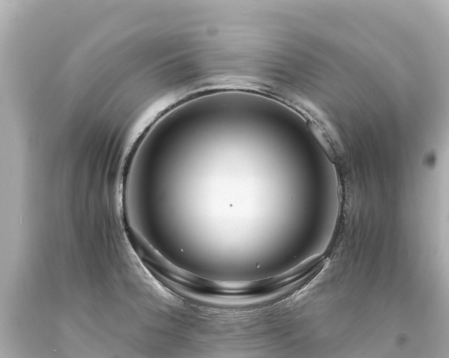 X0000094201188200711021044