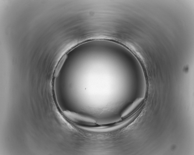 X0000094201189200711021044