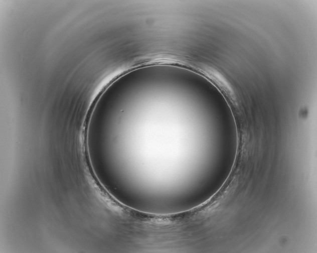 X0000094201190200711021044