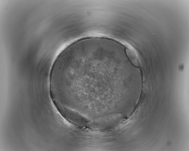 X0000094201191200711021044