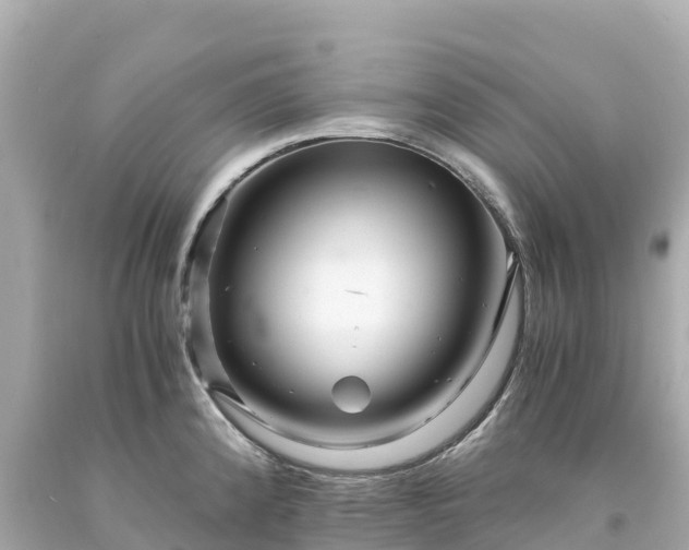 X0000094201192200711021044