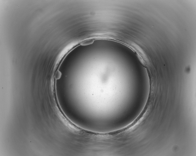 X0000094201196200711021044