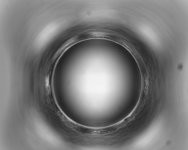 X0000094201198200711021044