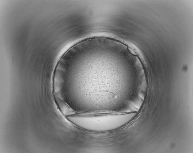 X0000094201199200711021044