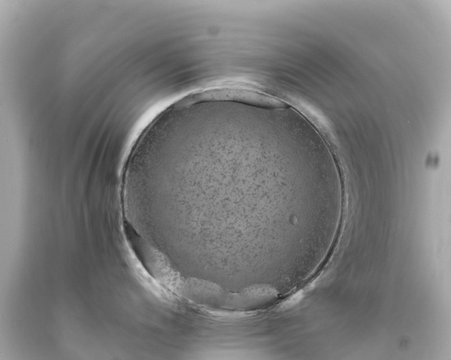 X0000094201200200711021044