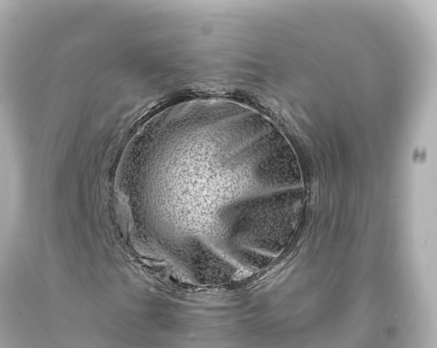 X0000094201201200711021043
