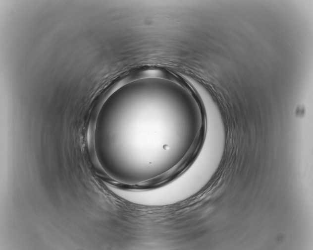 X0000094201202200711021043