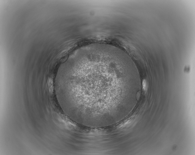 X0000094201203200711021043