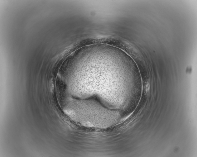 X0000094201204200711021043