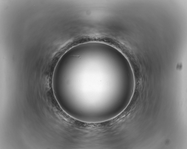 X0000094201205200711021043