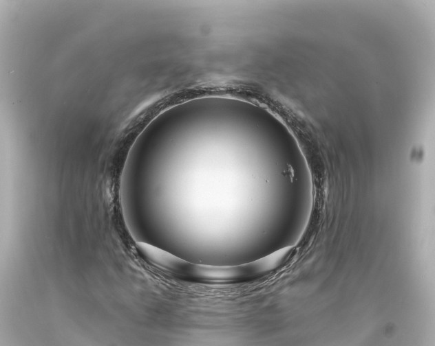 X0000094201206200711021043