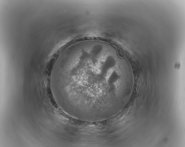 X0000094201207200711021043
