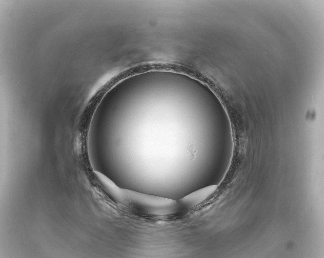 X0000094201208200711021043