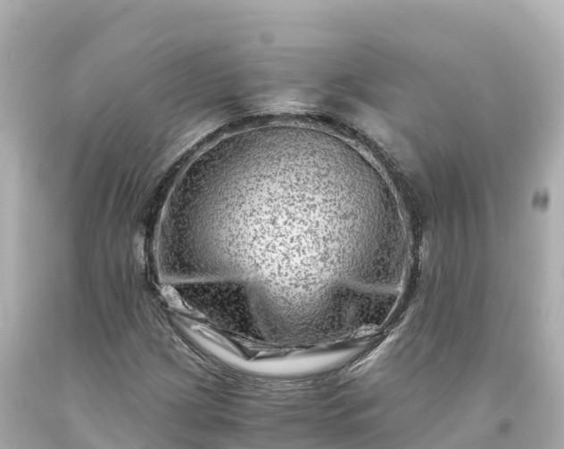X0000094201209200711021043