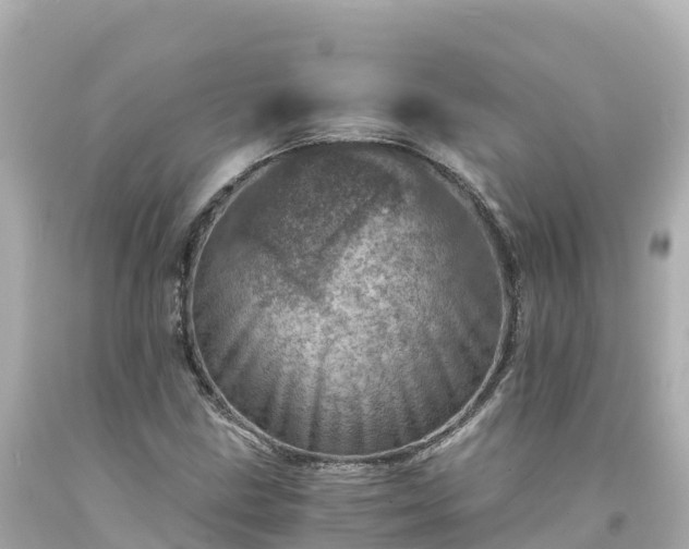 X0000094201211200711021043