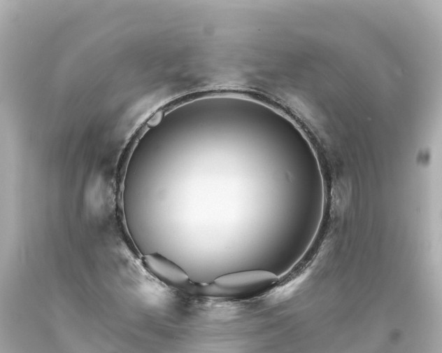 X0000094201212200711021043