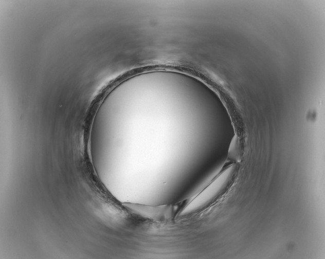 X0000094201214200711021043