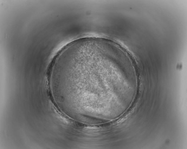 X0000094201215200711021043