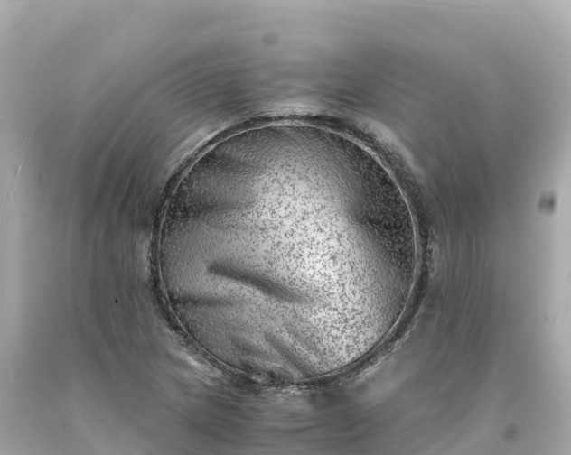 X0000094201217200711021043
